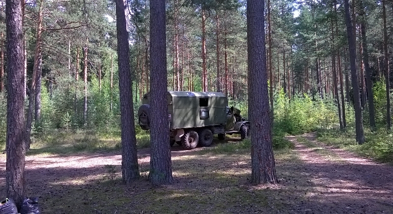 луга-08.jpg