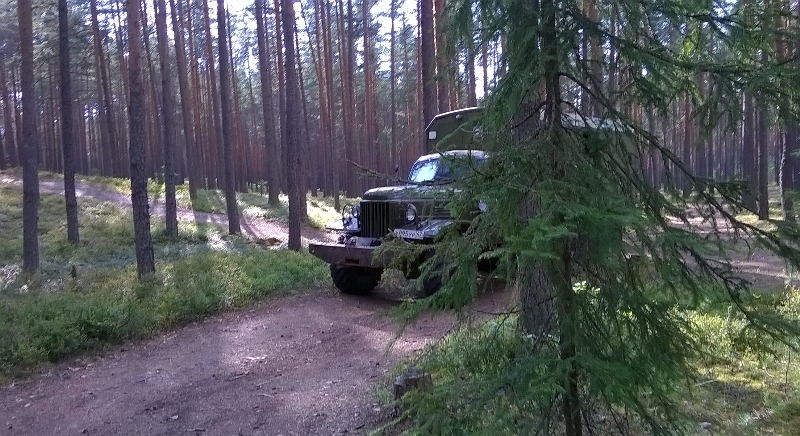 луга-09.jpg