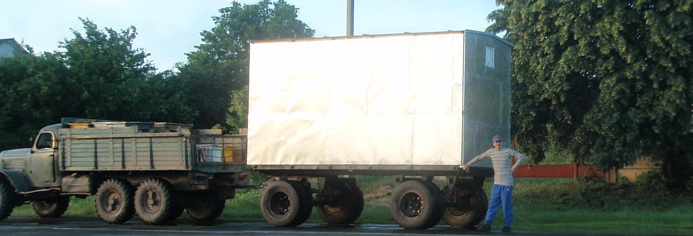 На липу.JPG