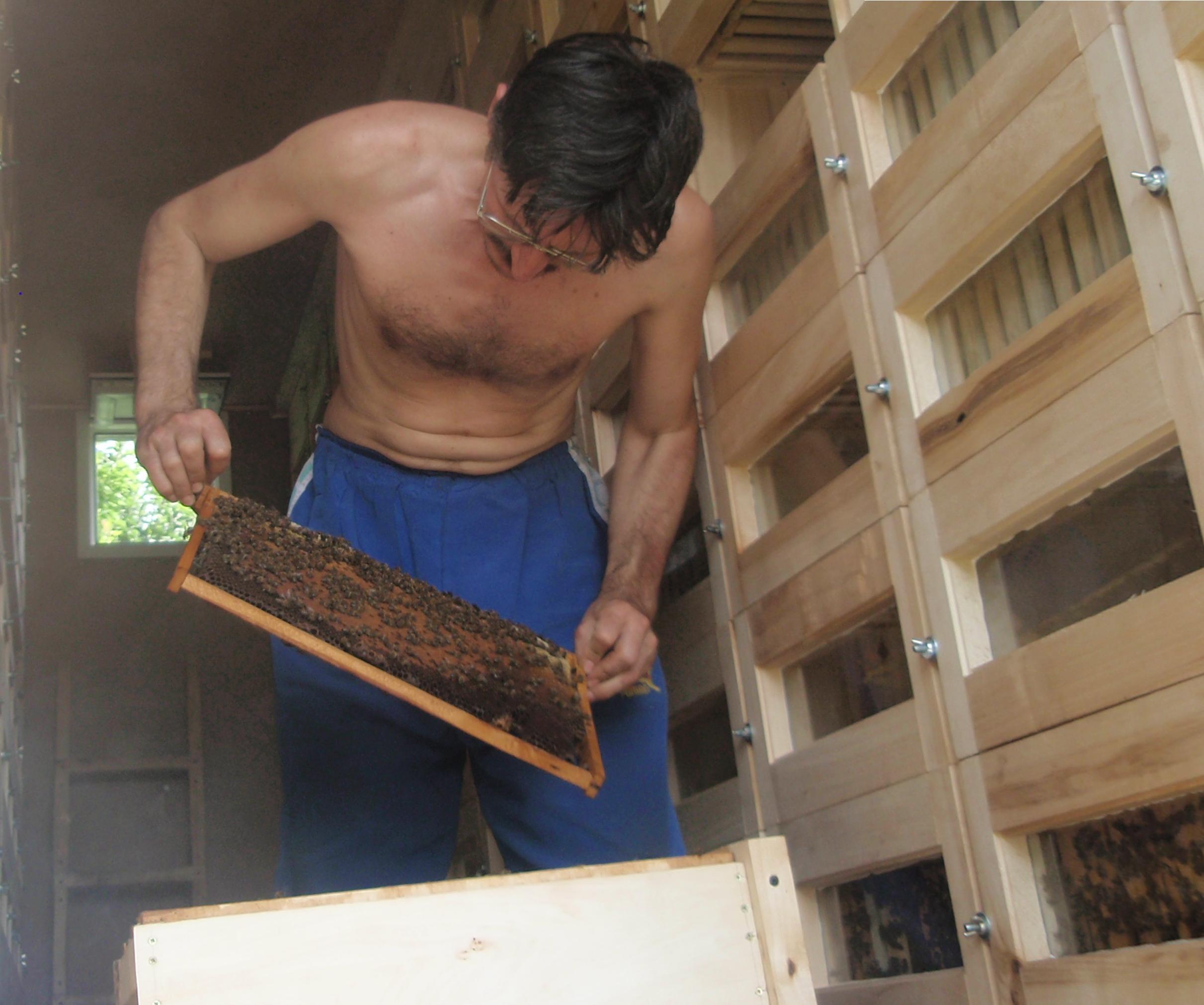 На акации.JPG