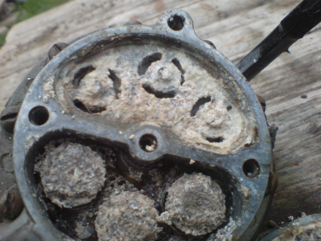 DSC02111.JPG