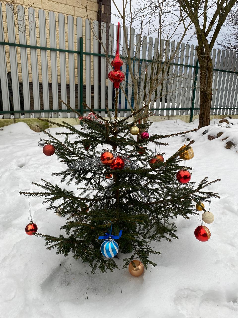 WhatsApp Image 2024-12-30 at 13.24.58.jpeg