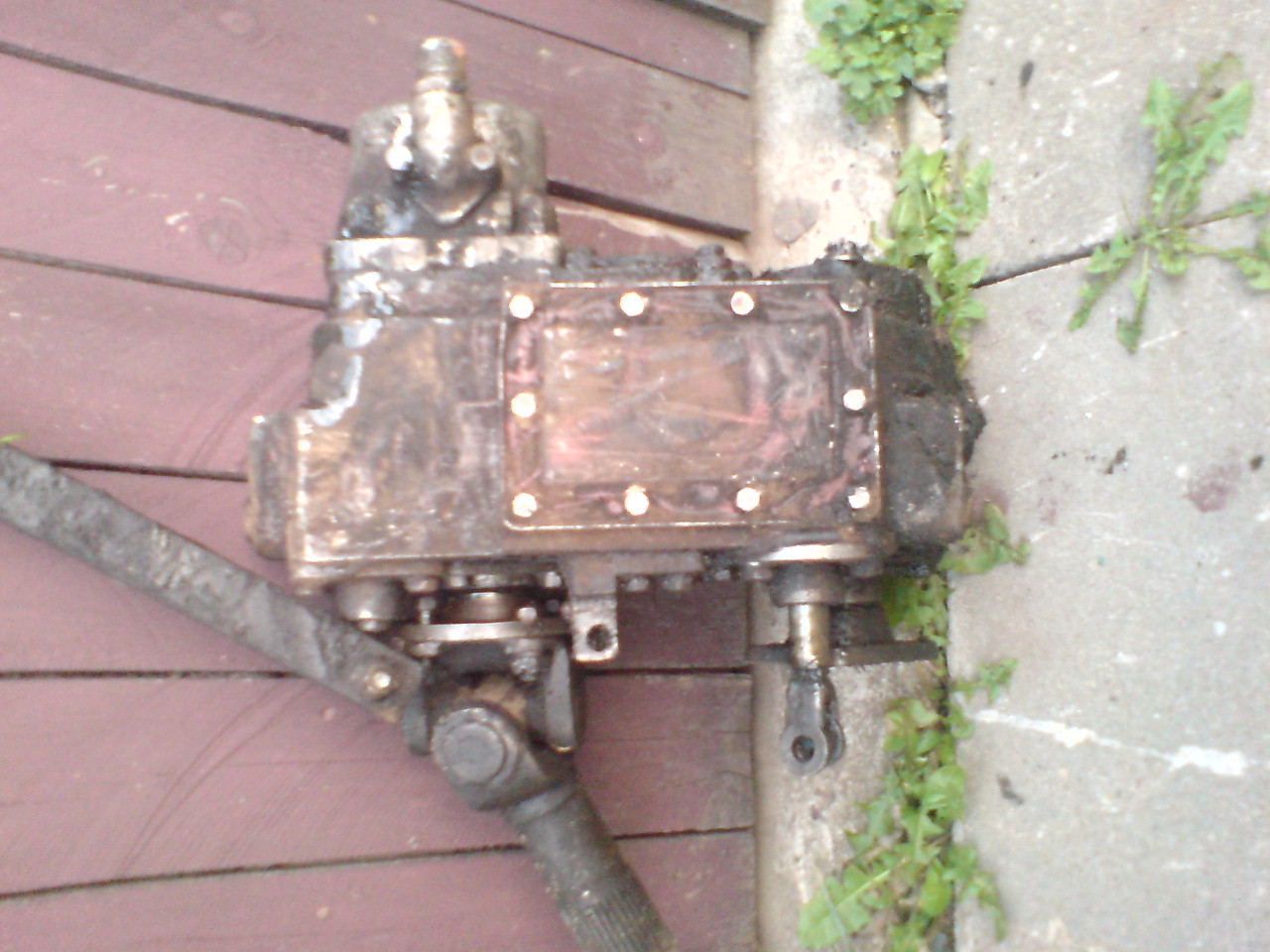 DSC01728.JPG